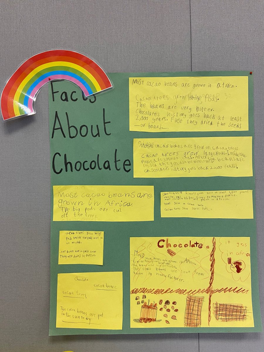 Birralee1973's tweet photo. Year 2 proudly finished their Chocolate Unit today! Wouldn’t it be amazing if chocolate grew on trees? Well, it does! Wouldn’t it be amazing if we could make some chocolate ourselves? Well, we did! And we discovered even more amazing things about chocolate… @The_IPC #trondheim https://t.co/nps0f8NiSM