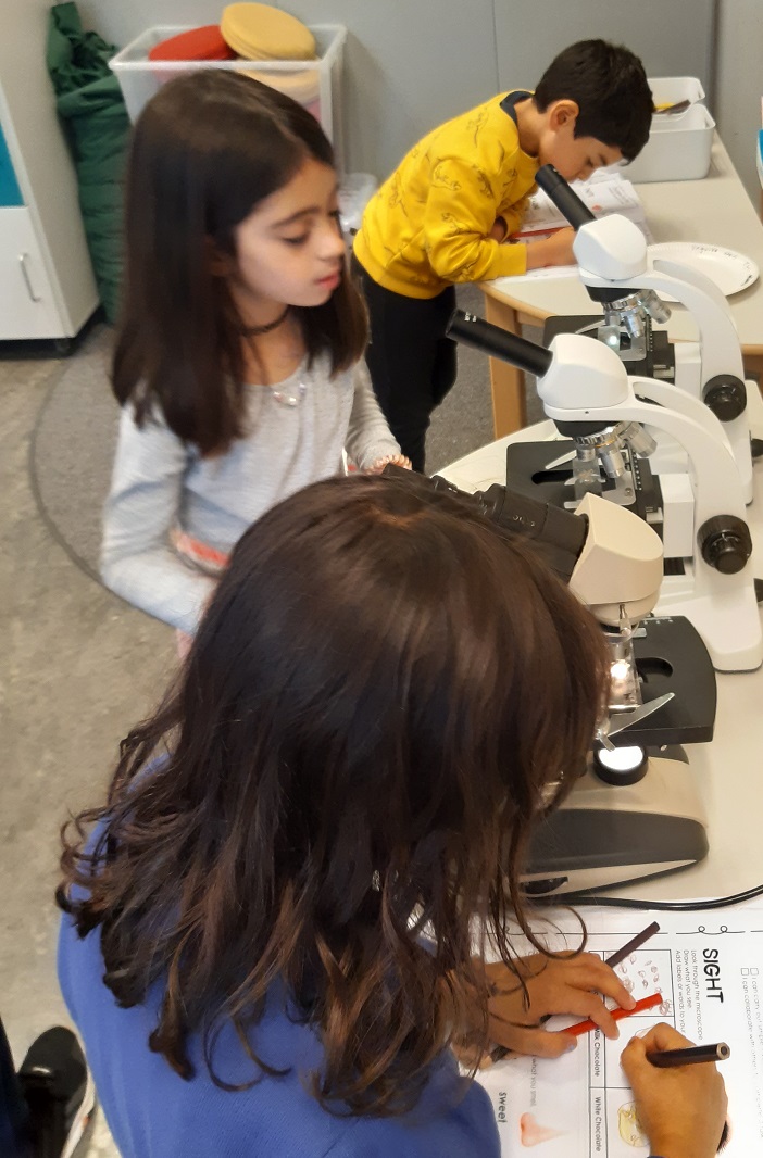Birralee1973's tweet photo. Year 2 proudly finished their Chocolate Unit today! Wouldn’t it be amazing if chocolate grew on trees? Well, it does! Wouldn’t it be amazing if we could make some chocolate ourselves? Well, we did! And we discovered even more amazing things about chocolate… @The_IPC #trondheim https://t.co/nps0f8NiSM