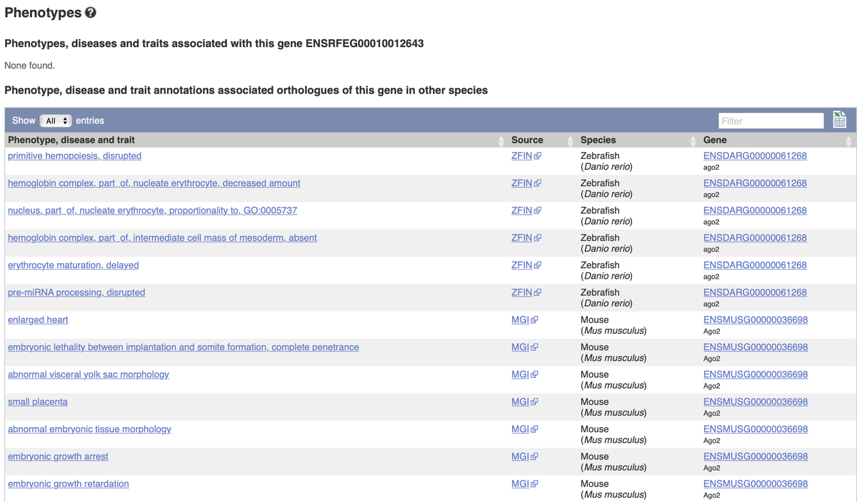 ensembl's tweet photo. There are no phenotypes associated with our #geneoftheweek AGO2 in greater horseshoe bat 🦇, but you can learn about phenotypes associated with orthologues of this #gene in other species, such as zebrafish 🐟, mouse 🐭 or rat 🐁
https://t.co/hsOtErNEvM
#EnsemblCompara https://t.co/bLZiDJamNH