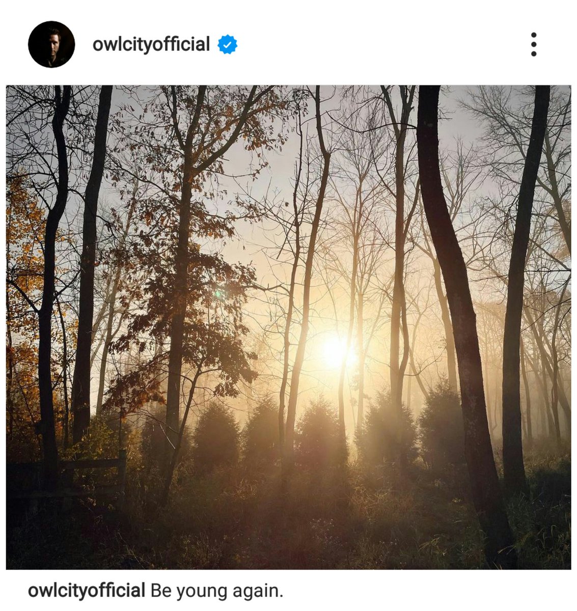 OwlCityUniverse's tweet photo. (New Owl City post)

"Be young again." https://t.co/YlJ6KWASvn