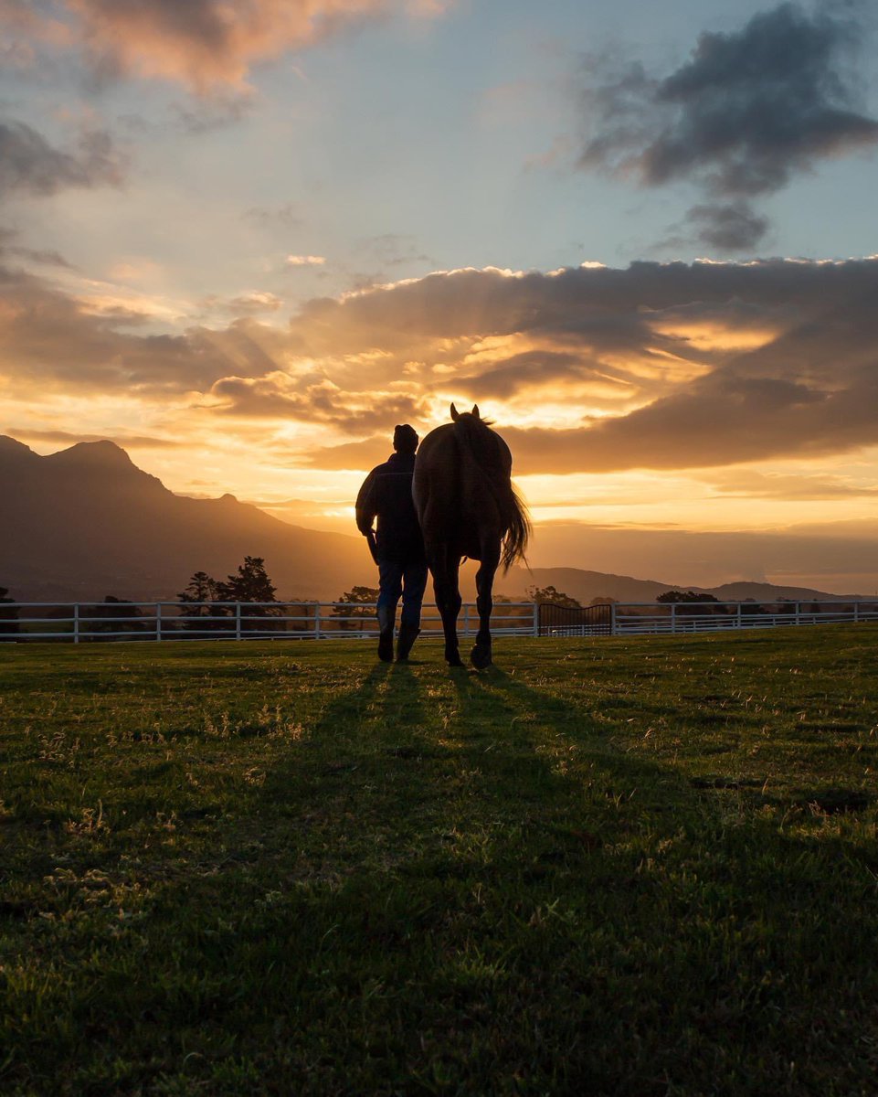 DrakensteinStud's tweet photo. It is with deep sorrow that we announce the passing of Duke Of Marmalade. He died peacefully in his paddock this morning. He was a hero to many on the racetrack including ourselves, and a true gentleman at stud. https://t.co/EOpObzfPKh