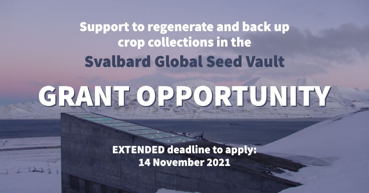 The Crop Trust (@croptrust) on Twitter photo 📣 DEADLINE EXTENSION - The Crop Trust and <a href="/planttreaty/">PlantTreaty</a>
are offering technical and financial support for the duplication, shipment and deposit of seed 🌱 collections in the <a href="/GlobalSeedVault/">Svalbard Seed Vault</a>.
Find out more about this global call and how to apply👇
buff.ly/3B8BNhx 📣 DEADLINE EXTENSION - The Crop Trust and <a href="/planttreaty/">PlantTreaty</a>
are offering technical and financial support for the duplication, shipment and deposit of seed 🌱 collections in the <a href="/GlobalSeedVault/">Svalbard Seed Vault</a>.
Find out more about this global call and how to apply👇
buff.ly/3B8BNhx