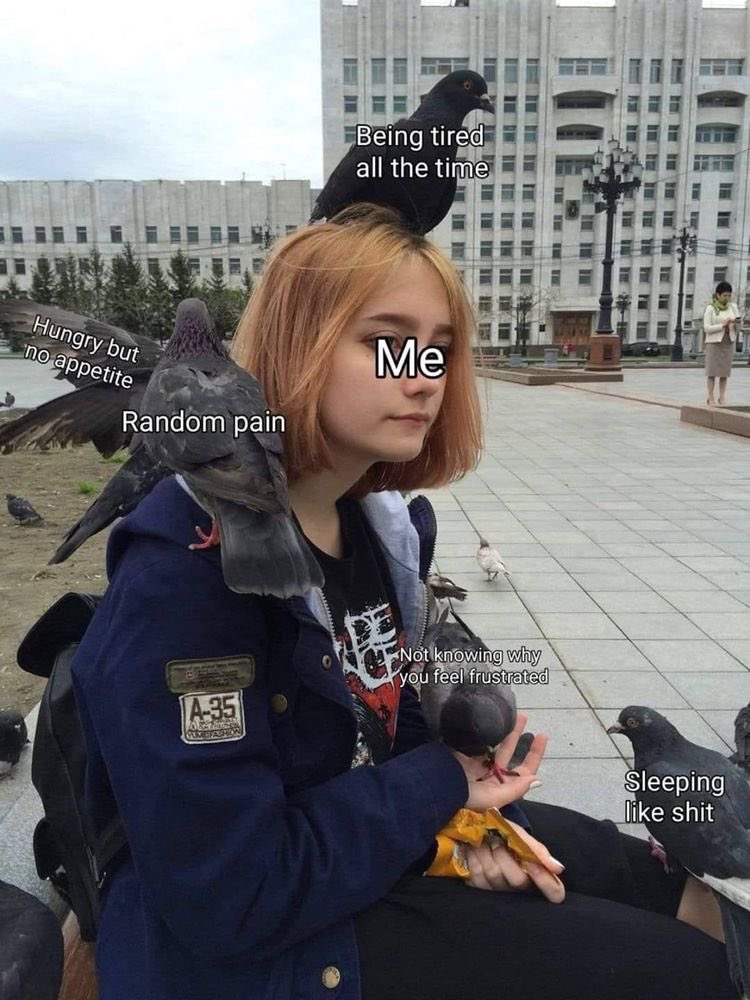aemeruls_'s tweet photo. Me in real life ; https://t.co/MVcI4AEDHx