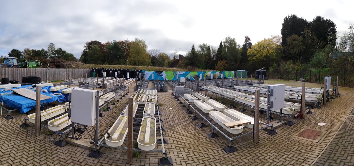 mohammadwazne's tweet photo. Very much excited to kickoff my first experiment in Bham @Eco_Laboratory along side @holly_nel and @SchneidewindUwe and a bunch of other fantastic colleagues!
#microplastic 
#phdlife https://t.co/saTDvarWwn