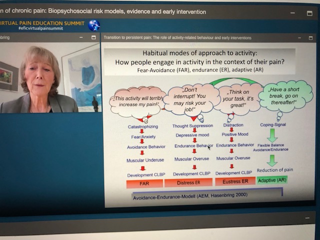 SophieIsabelle8's tweet photo. Excellent session on #prevention of #chronicpain by Prof. @MHasenbring, Dr. Paul Campbell and Dr. William Shaw, covering everything from #screening, #returntowork and activity in the context of pain (pic) ⭐️ Food for thought! #EFICVirtualPainSummit #prevent #persistentpain https://t.co/wRGYLHLTCq