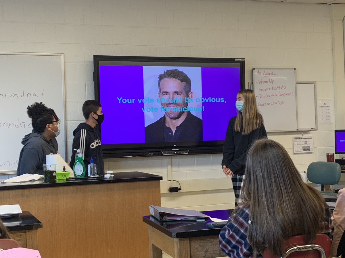 MrsZteachesLE's tweet photo. My Biology students ran campaigns for the “Best Cell Organelle in the World” today. I think they knew how to sway my vote 😂@VancityReynolds @kanebrown @lukebryan #canandaiguaproud https://t.co/IVtxKYgZex