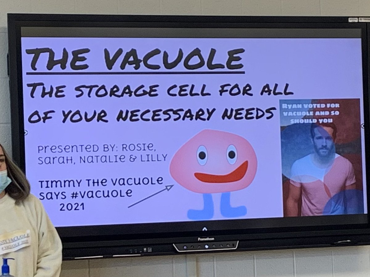 MrsZteachesLE's tweet photo. My Biology students ran campaigns for the “Best Cell Organelle in the World” today. I think they knew how to sway my vote 😂@VancityReynolds @kanebrown @lukebryan #canandaiguaproud https://t.co/IVtxKYgZex