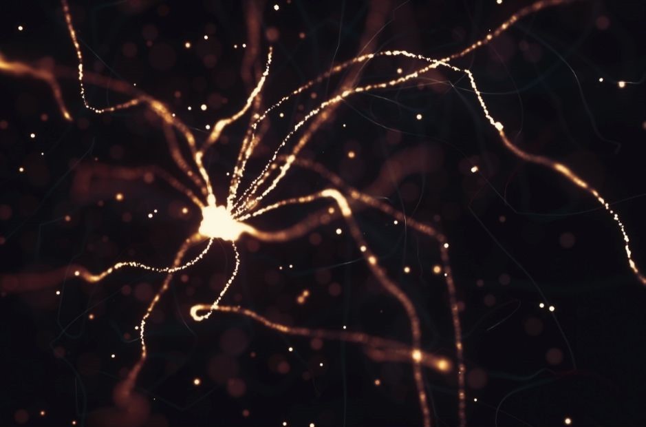 Spark your interest in psychology this bonfire night and take a look at how our degrees are designed to explore human behaviours across two key areas of social science🎆

Click here to find out more: bit.ly/3mf28oY

#Bonfirenight #psychology #ArdenUniversity