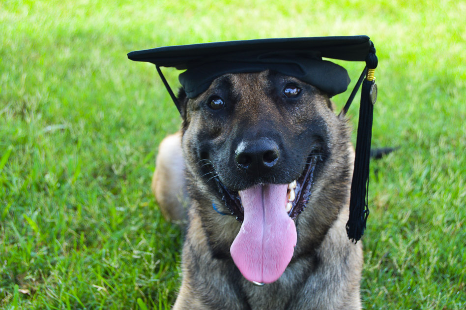 Congratulations, #UCFGrad! You've waited a long time for this day and we hope you enjoy it to the fullest. #ChargeOn!
