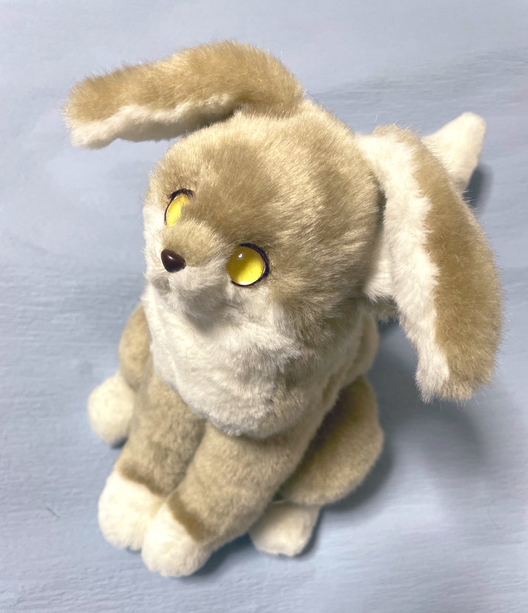 CC_seed's tweet photo. おみみぺたんこいぬきつね🐾 https://t.co/sNfI9xzCh8