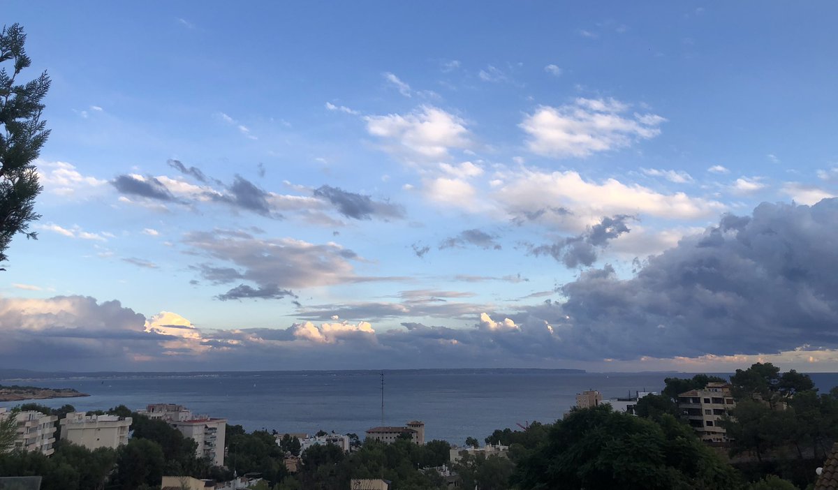 LadyHagua2's tweet photo. Al fondo isla #Cabreras #fotografía hecha desde #Mallorca, Cabrera fue isla de #prisioneros de #guerra, ahora es #parque #nacional, una isla #divina #protegida!
🌿🕊💕☘️🐳🍀💕🕊🌿 https://t.co/l6CqLA5vSb