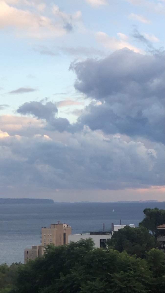LadyHagua2's tweet photo. Al fondo isla #Cabreras #fotografía hecha desde #Mallorca, Cabrera fue isla de #prisioneros de #guerra, ahora es #parque #nacional, una isla #divina #protegida!
🌿🕊💕☘️🐳🍀💕🕊🌿 https://t.co/l6CqLA5vSb
