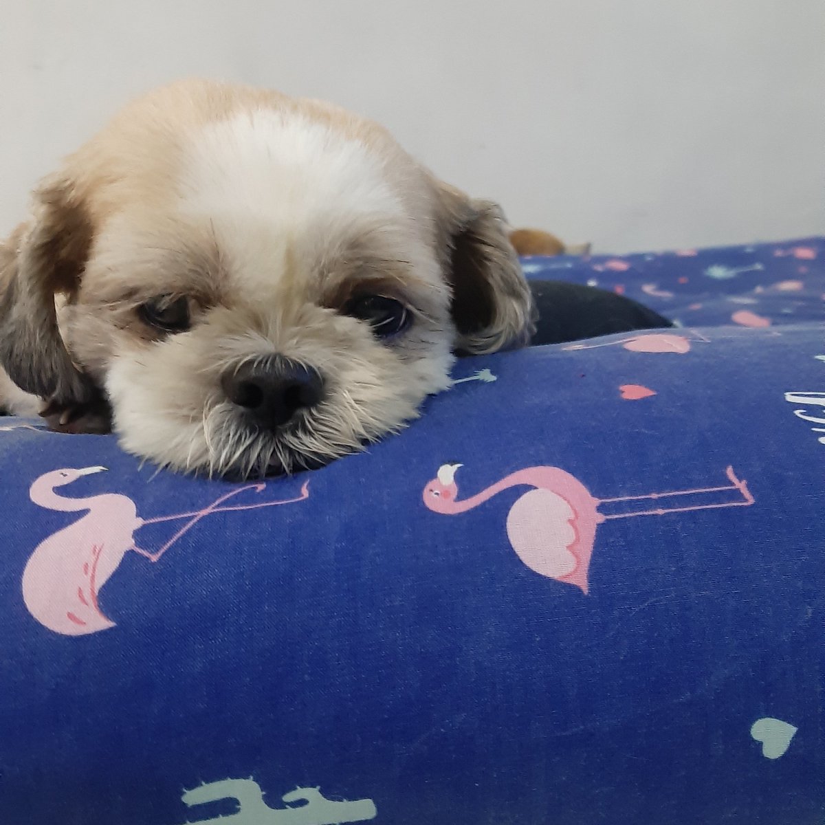 PalKev's tweet photo. #FotoProfilBaru https://t.co/s4N4qMYwLR