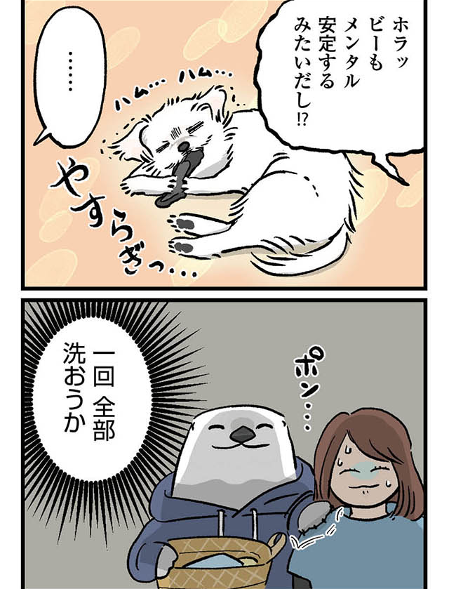 page_2/4|#ケッペキとずぼら - 1話 