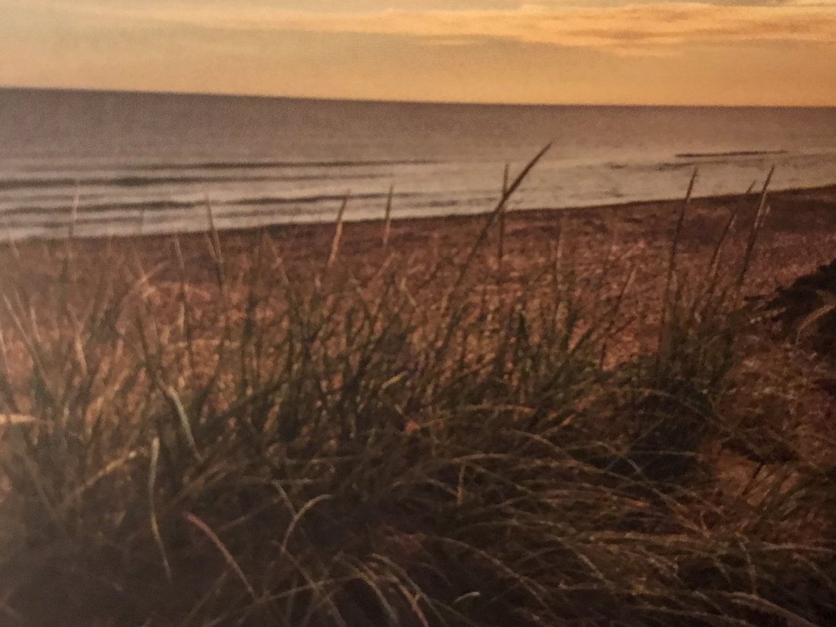 michmculay's tweet photo. Great presentation @TIAPEI AGM about The Island Walk. 700km 32 days #longdistancewalkers
#perfectlandscape
#pei
#comebackdifferent https://t.co/pl0hkzS1wH