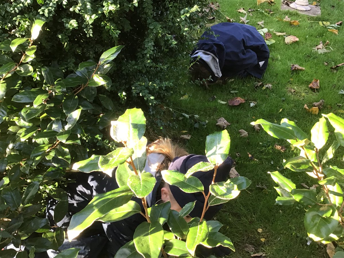 LaxtonJunior's tweet photo. #LJSYearTwo are enjoying a day of #OutdoorLearning. What better way than to start with a game of β1, 2, 3, where are you?β #LoveOfLearning https://t.co/OB7bi7AdGC