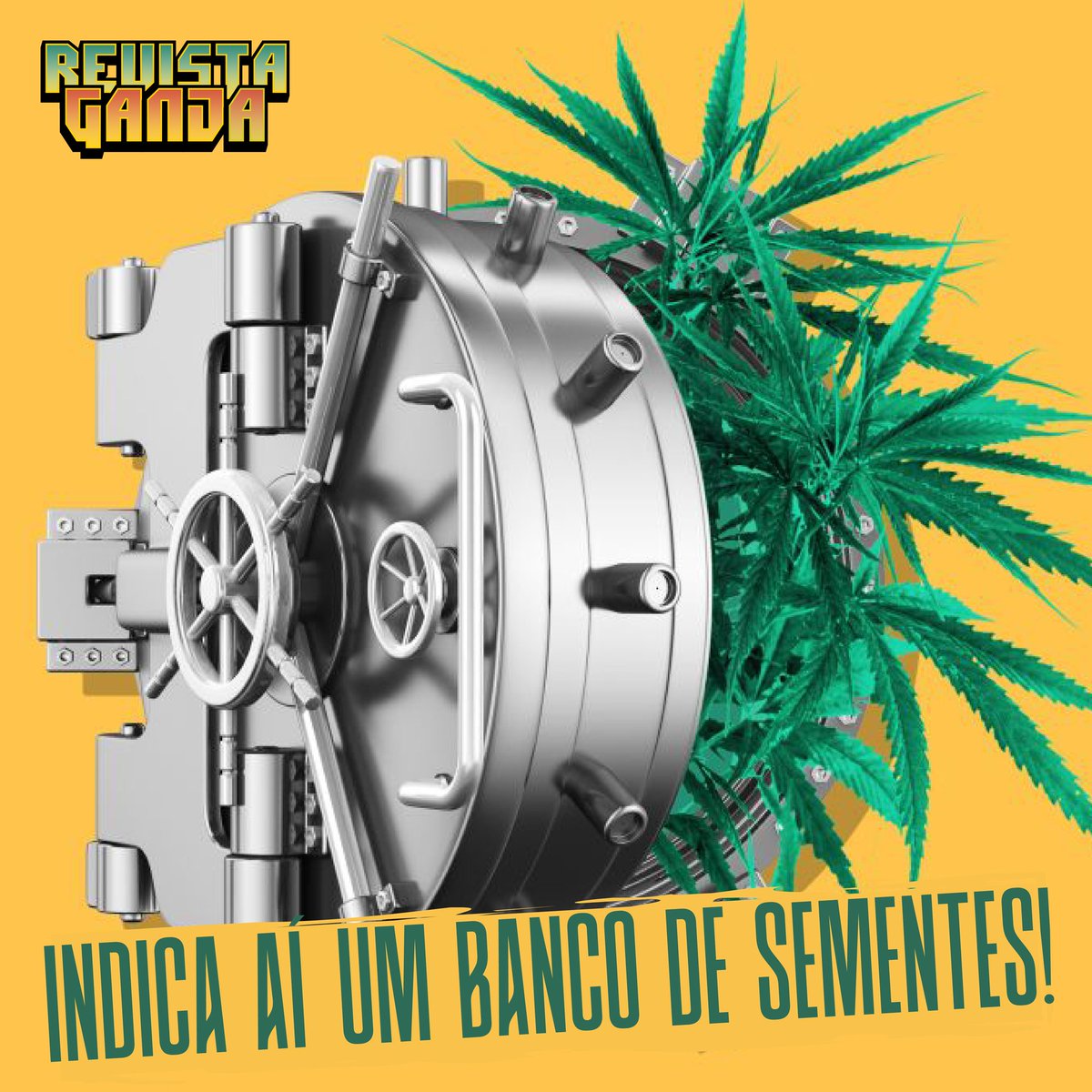 Semente de qualidade? Quem tem?

#revistaganja #maconha #cannabis #weed #legalize #legalização #ganja #hemp #marijuana