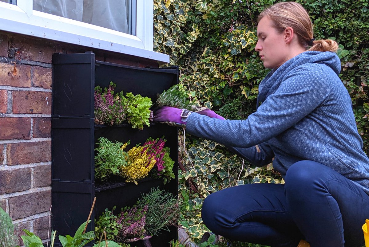 Read our latest blog and spruce up your PlantBox display with these wildlife-friendly plants. You don’t need a great big garden to support wildlife this autumn and winter #PlantBox

growingrevolution.com/2021/11/planti…