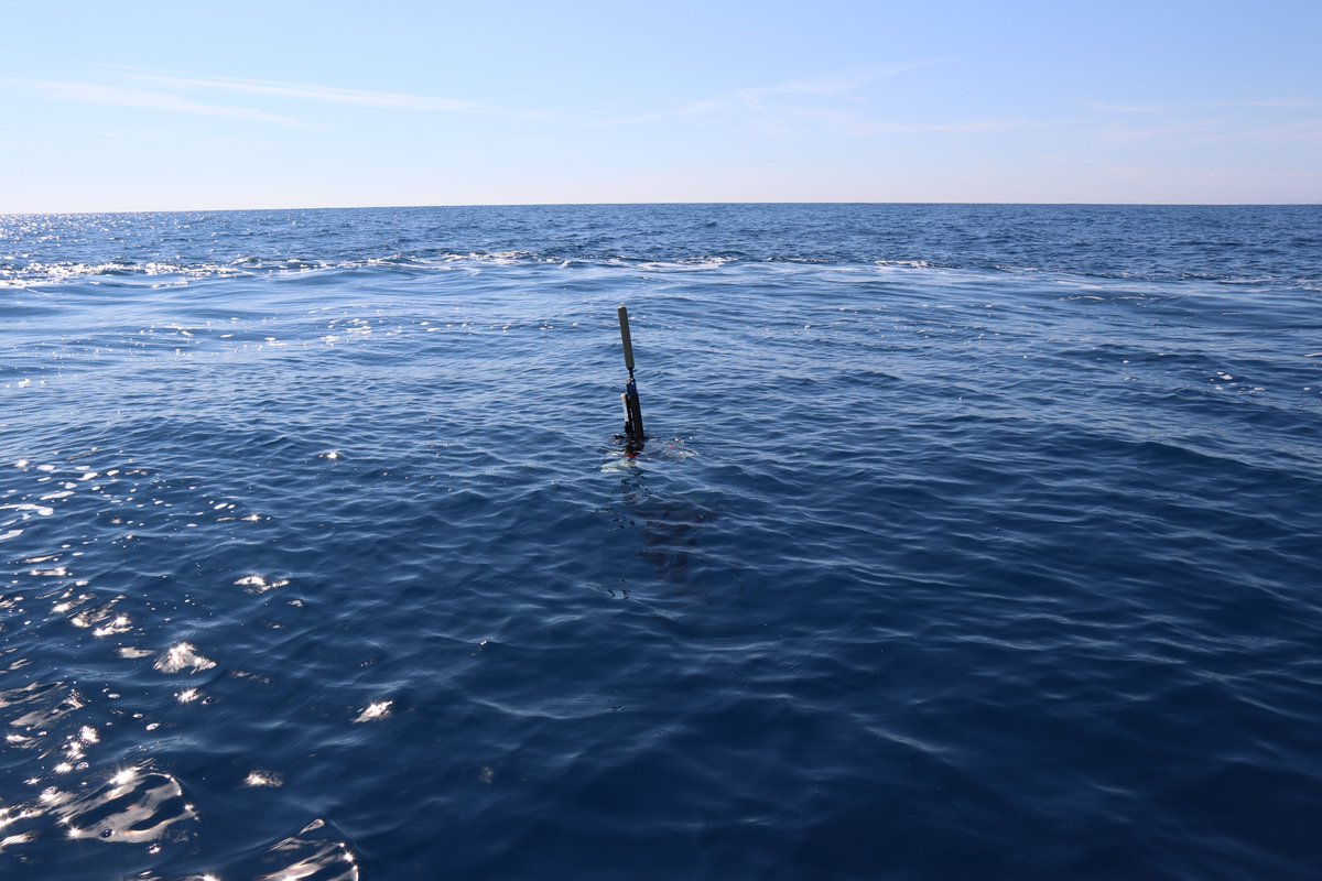 Les sciences océaniques importent pour mieux comprendre et préserver notre #Océan 💙
En ce sens, la #TeamAdoptaFloat s'engage auprès des #scolaires pour leur faire découvrir l’océan mondial et les #SciencesMarines 🤩 #OceanEducation
#OneOceanScience 👉 oneoceanscience.com 🌊