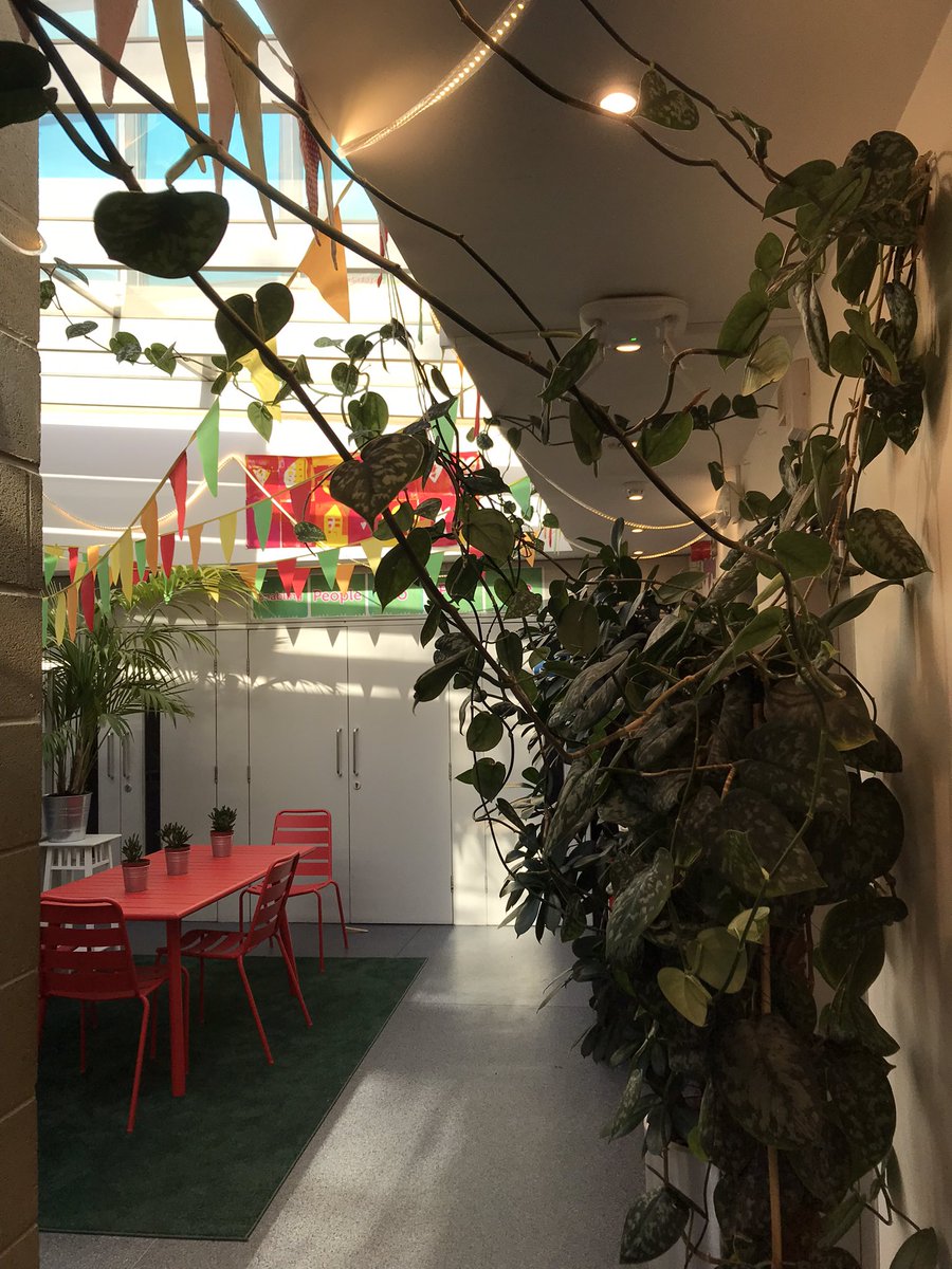 sarahcreates's tweet photo. Three years ago @RoseMAlexander donated five unloved plants to @KentishTownCC. Everyday they make our community space healthier and happier. Thank you @RegentsPlace #KentishTown https://t.co/iWXqjS26Ir
