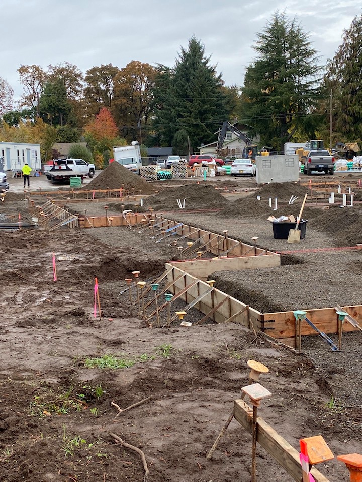 RCohousing tweet picture