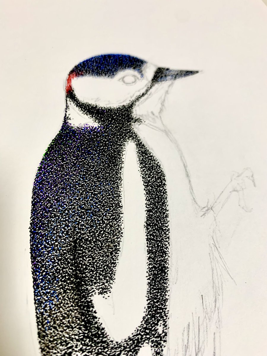 原画 デザイン画 ペンギン #65 FDbD3h5aUAAiD9z.jpg