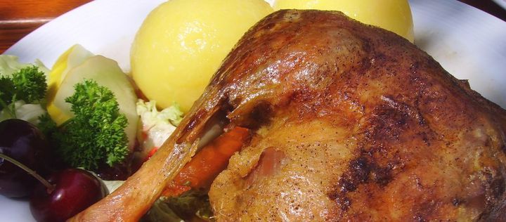 bzfe_de's tweet photo. Gans zu Sankt Martin und zu Weihnachten: Wer bei der traditionellen #Martinsgans oder dem #Weihnachtsessen auf tiergerechte Haltung Wert legt, sollte auf die Bezeichnungen „ #Freilandhaltung“ achten oder zu einer #BioGans greifen ➡️ https://t.co/onqapBg7gr #Gans #SanktMartin https://t.co/S54E4xnqEL