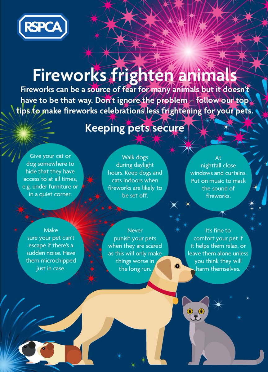 MerciaCollege's tweet photo. Bonfire night top tips for pets!
Create a safe place for your animals.
Put on soothing and calm music.
Don't react to the fireworks yourself.
Give your pets treats to calm them down.

Classic FM are playing calming music 6pm-10pm 5th and 6th November to help calm your pets.
#pets https://t.co/yhxRdw09Gt