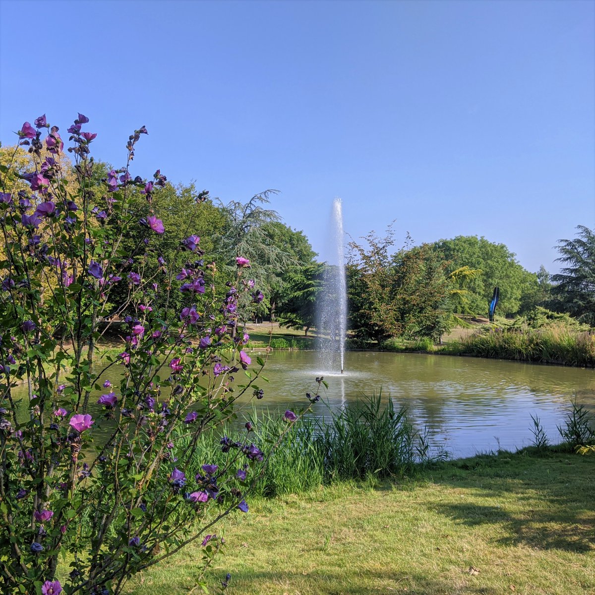 kmcostello1's tweet photo. Are you interested in studying Chemical Engineering @ChemEngSurrey at the University of Surrey? Come and visit us for a department tour on Saturday 13th November! Book online here: https://t.co/PkKCqaBrOz https://t.co/5s0nwHyYYT