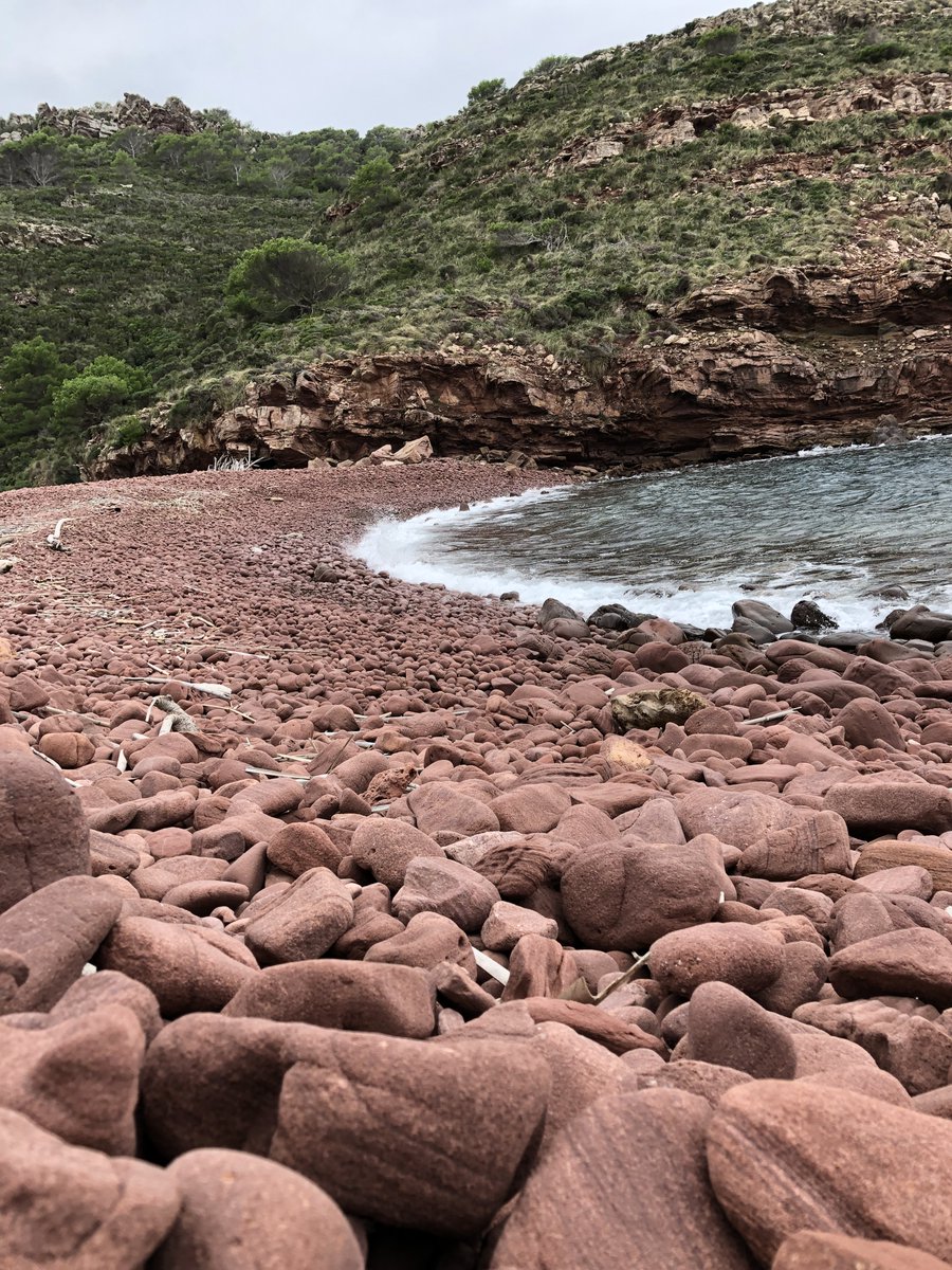 gemmaveratriay's tweet photo. Aprofitant que dia 1 de novembre era festiu, vam partir d'excursió!🥾🌍 Després de caminar 8,76 km des de La Vall, vam arribar a Cala Carbó.💪
@EFsaludable_UIB #22121_uib https://t.co/3tFcZ7dVmG