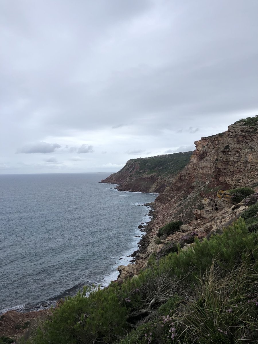 gemmaveratriay's tweet photo. Aprofitant que dia 1 de novembre era festiu, vam partir d'excursió!🥾🌍 Després de caminar 8,76 km des de La Vall, vam arribar a Cala Carbó.💪
@EFsaludable_UIB #22121_uib https://t.co/3tFcZ7dVmG