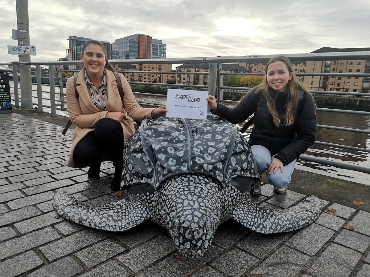 Look who we met en-route to the #COP26 #GreenZone today!

It's been almost 2 years since Stuart the Leatherback Turtle joined  us for our #IWill4Nature launch, so great to see him out & about on his travels again 🐢💚

#ListenToTheOcean