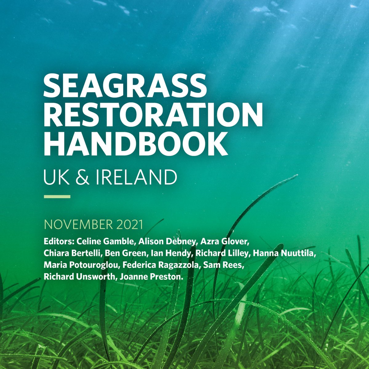 ZSLMarine tweet media