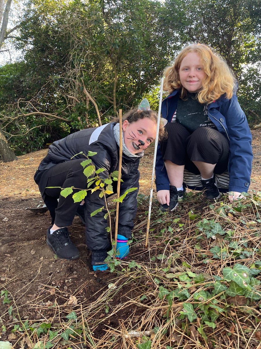 YarrellsSchool's tweet photo. Today on The Yarrells Earthshot Day we are planting over 150 trees, donated by @suezUK in the West Woods.  We planted Silver Birch and Ash trees that will encourage wildlife all year. #saveourplanet  #EarthshotPrize @ISC_schools @schoolsontap #ClimateAction #saveourplanet https://t.co/yDH82F80cd
