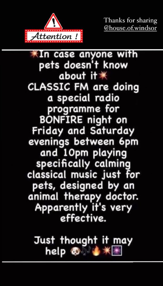 ThisisDavina's tweet image. In case yr dog suffers like mine x it’s terrible