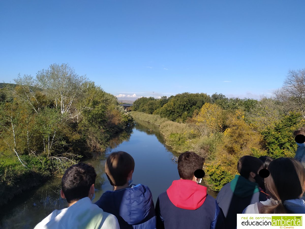 CENTROCAMPILLO's tweet photo. 🦋🦆🐸🦉🐦🐢 Alumnas y alumnos del @colegio_claret  de Madrid están visitando la #lagunaCampillo para conocer la #geología del paisaje en la actividad #interpretando. 🦋🦆🐸🦉🐦🐢 https://t.co/E6JledoEgC