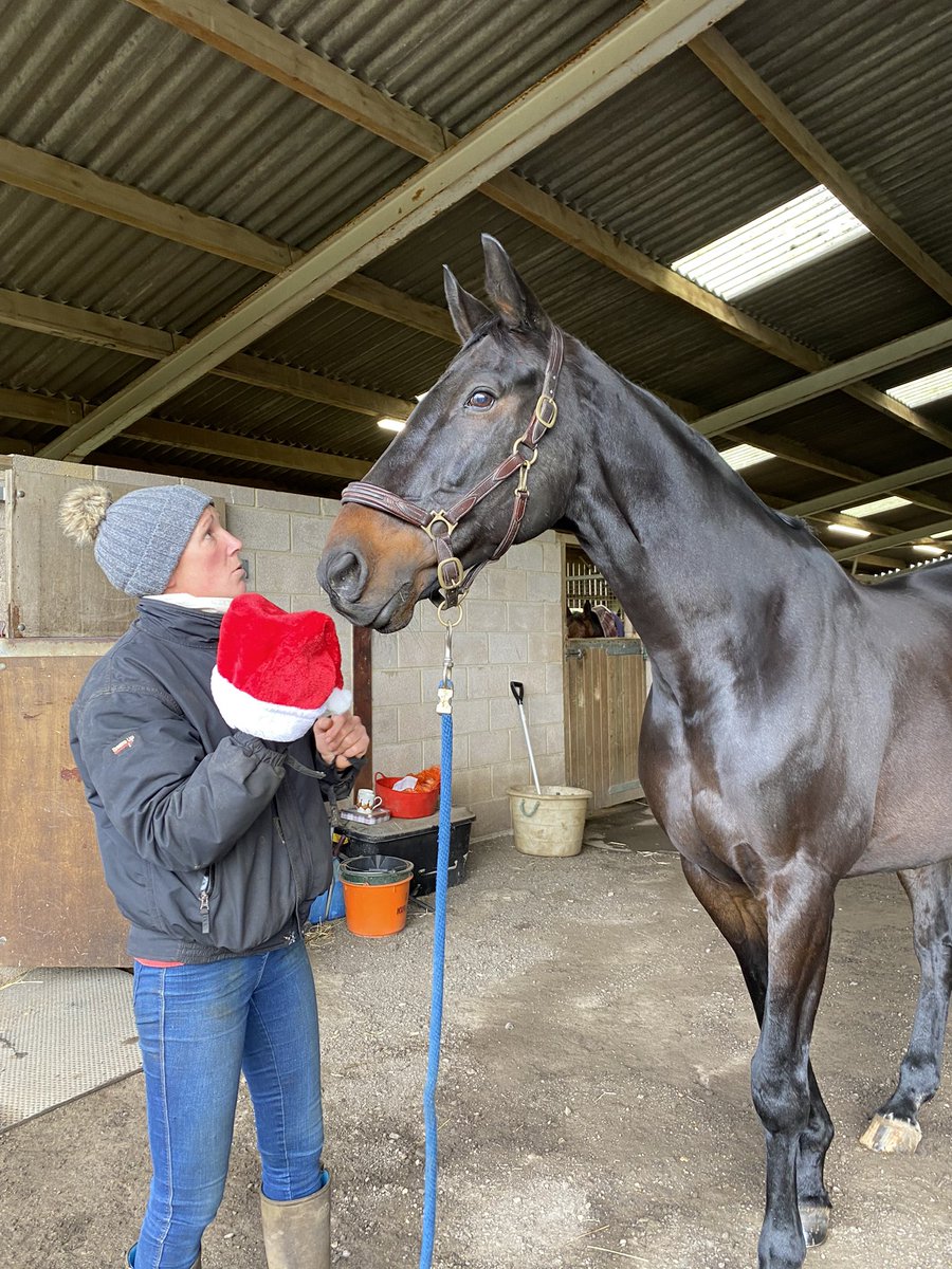 NO!! I refuse to wear that, it’s only November!!  Even if the photo’s going on the front of my Christmas cards!! #It’sOnlyNovember #BlackAeroplane #CheltenhamRacecourse #Retired #Happy#racehorse#theking