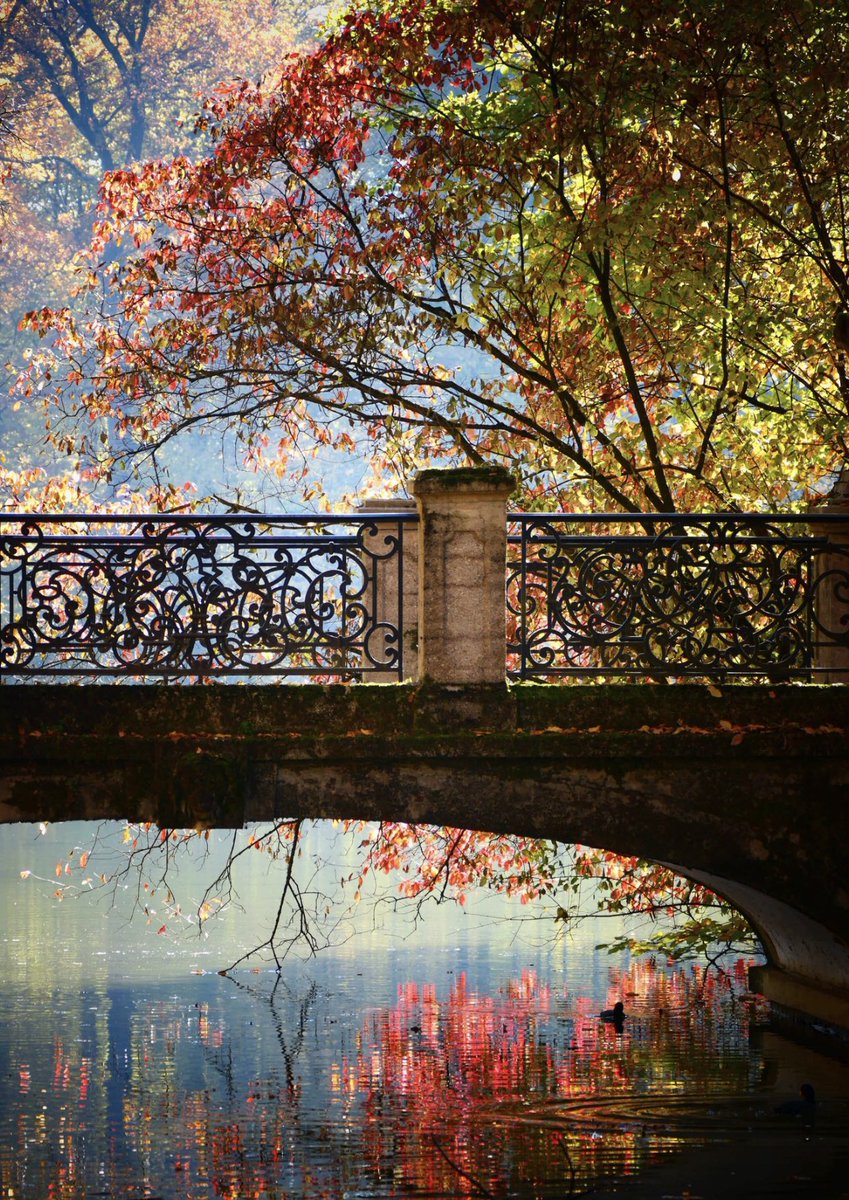 ⭐️THE MAGIC OF AUTUMN⭐️

Stunning Autumn colours captured by <a href="/SingingLehrerin/">Fotografierende Lehrerin</a> 👏🏽

Have a gorgeous day all!😊