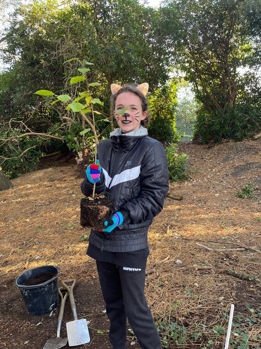 YarrellsSchool's tweet photo. Today on The Yarrells Earthshot Day we are planting over 150 trees, donated by @suezUK in the West Woods.  We planted Silver Birch and Ash trees that will encourage wildlife all year. #saveourplanet  #EarthshotPrize @ISC_schools @schoolsontap #ClimateAction #saveourplanet https://t.co/yDH82F80cd