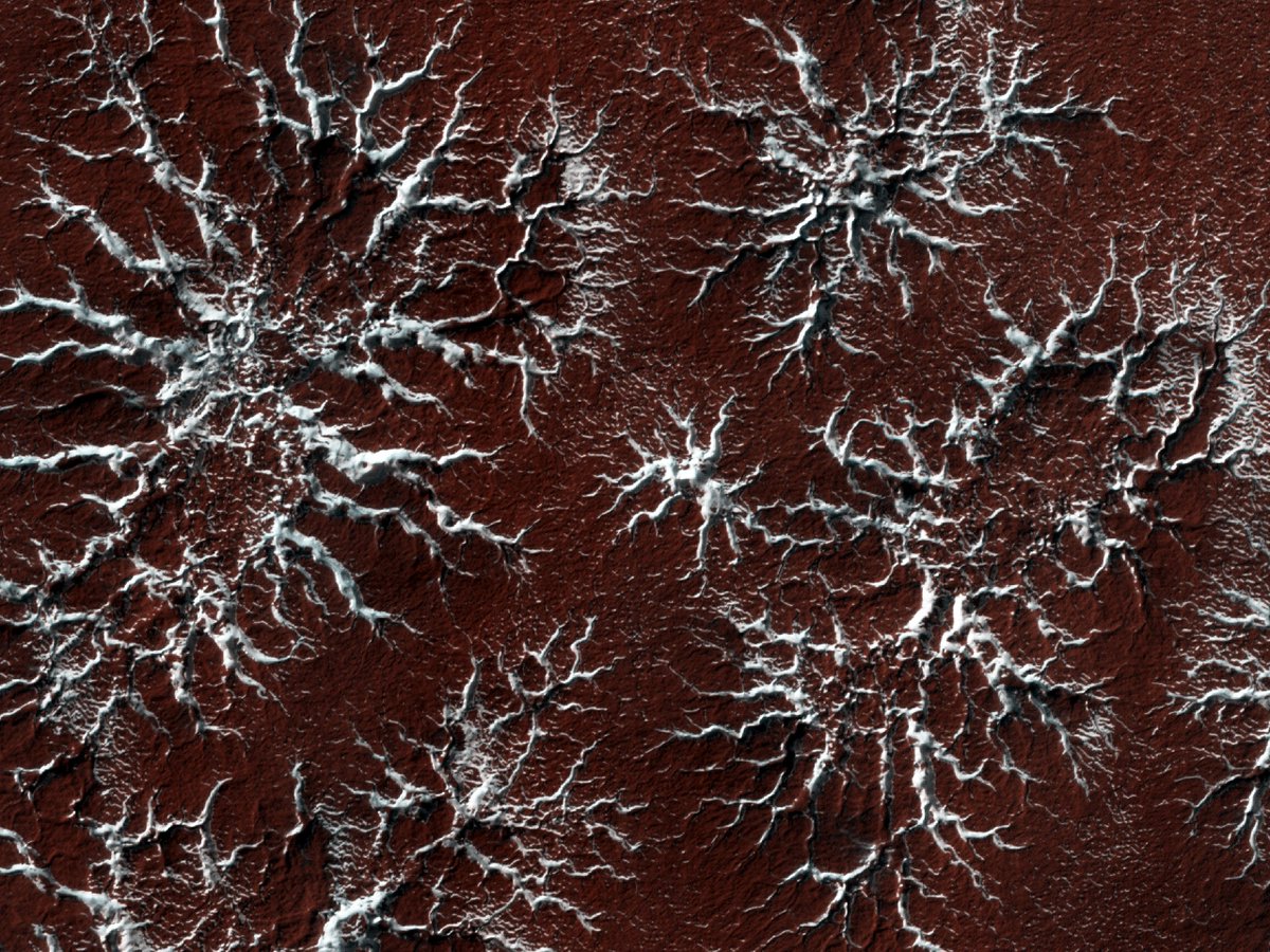 vanguten's tweet photo. Carbon dioxide ice in polar caps on Mars turns from solid directly to vapor in the spring and causes specific erosion landscapes. High-res images at University of Arizona https://t.co/76AVWppgXZ #Mars ,#erosion, #climate https://t.co/YlU86HhbJW