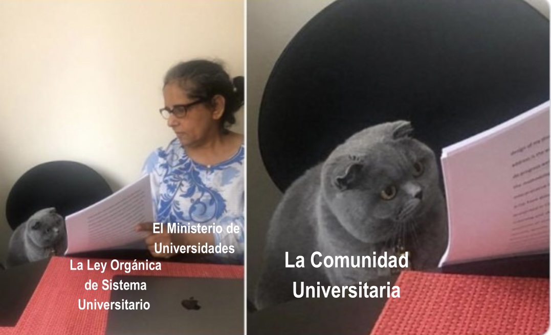 twitCADUS's tweet photo. No podemos ni asegurar que hayan revisado el documento antes de publicarlo…

 #SiFueraCastells #LOSUspendo https://t.co/27ymCQhKwV