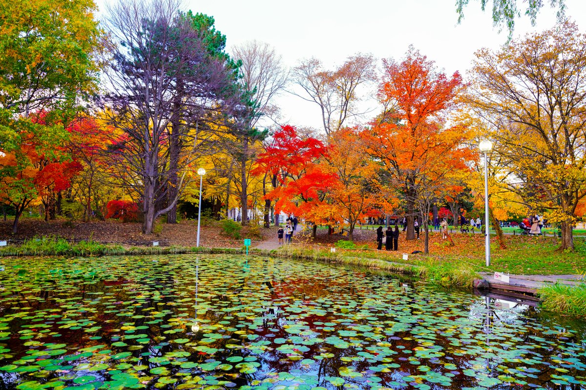 daiphotographer's tweet photo. 秋の風景
#紅葉 #紅葉2021 #autumnleaves #7RIV #Sony #alpha #photography #カコソラ #写真で奏でる私の世界 #写真が好きな人と繋がりたい #ファインダー越しの私の世界 #キリトリセカイ #tokyocameraclub https://t.co/JQUjbnifL6