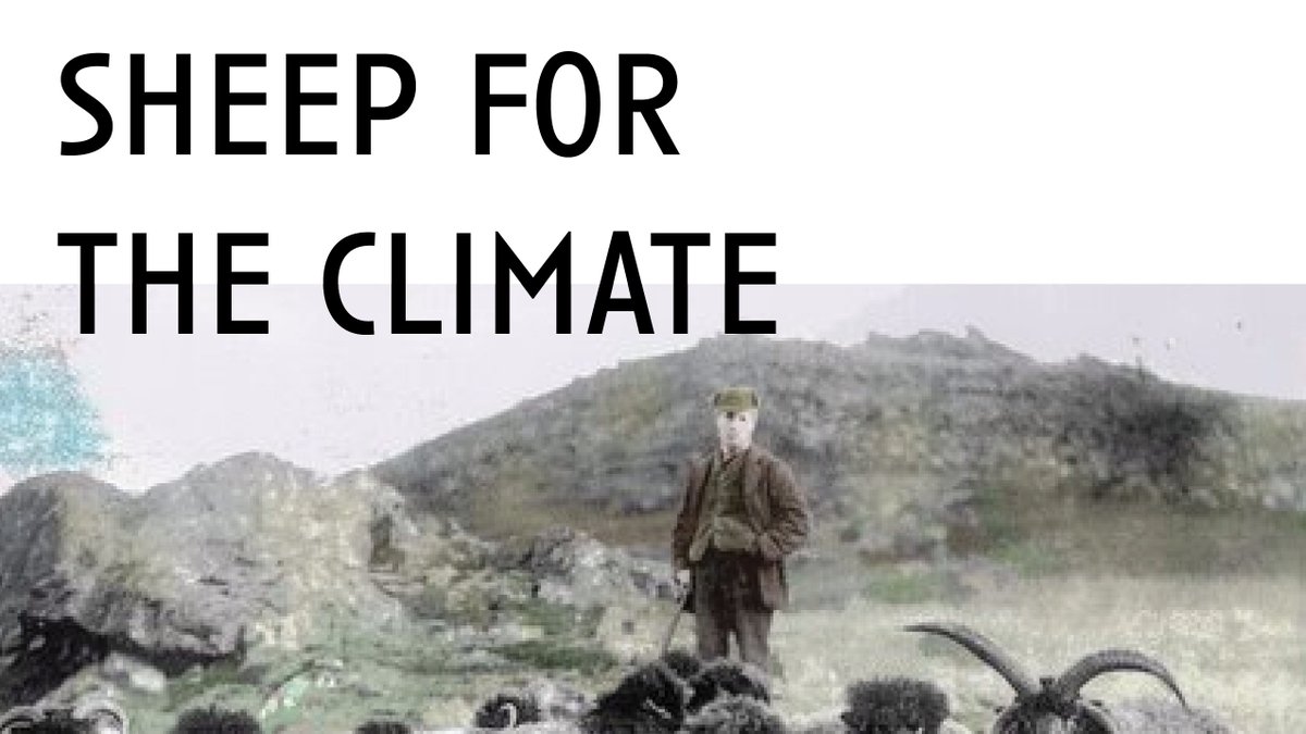 We are proud to be standing with farmers and pastoralists - and some sheep - at #COP26 today