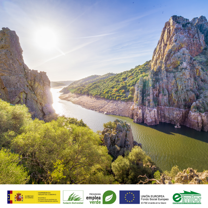 eimforsl's tweet photo. 🔊El curso red viaria sostenible es gratuito para el alumnado gracias a que cuenta con el apoyo de @emprendeverde y @FBiodiversidad.

🕐 120h 
🌍 Para profesionales en #MedioAmbiente y #ConstrucciónCivil con interés en la Cuenca del Tajo
⚠️ Hasta 12/11

📎 https://t.co/4a0vec7ZXw https://t.co/DS1mlfNtG9