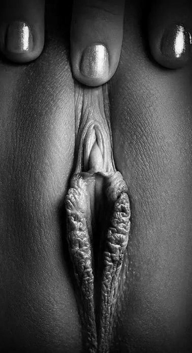 frum guy (@frumguy5guy) on Twitter photo 