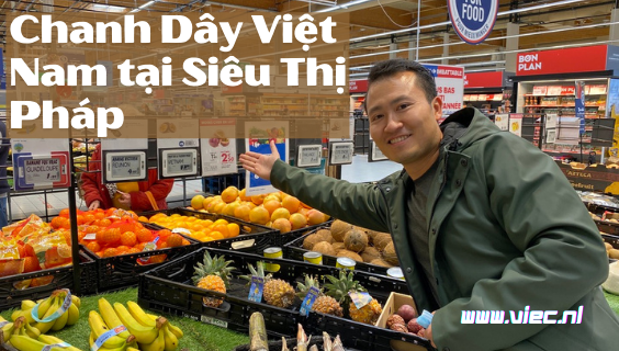 ImpExpHolland's tweet photo. Cần Gì Để Có Thể Xuất Khẩu Nông Sản Sang Hà Lan và EU? Đọc thêm tại ĐÂY - https://t.co/a4AUlpqlPT https://t.co/eoX8B1Zmz4