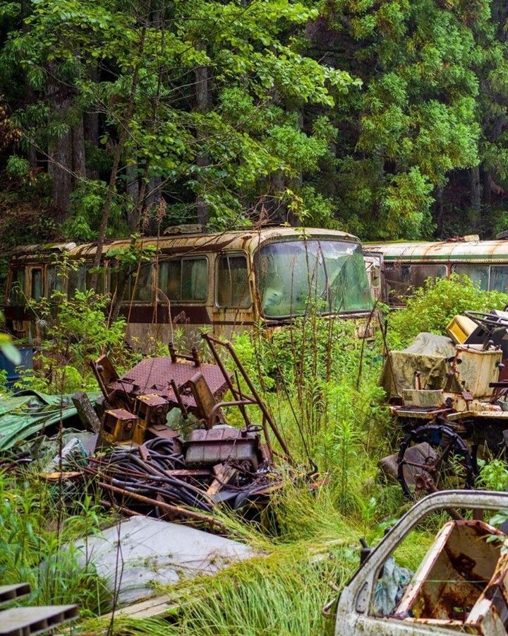 OffbeatJapan's tweet photo. Did you know that in Japan, the coastlines are a disaster, with uncontrolled dumping grounds in even the most remote country areas. How can Mr. and Mrs. Yamazaki create the serene atmosphere of a nice bonsai garden when this junk is rusting away next door! 😢 https://t.co/mEQRhjcQdS