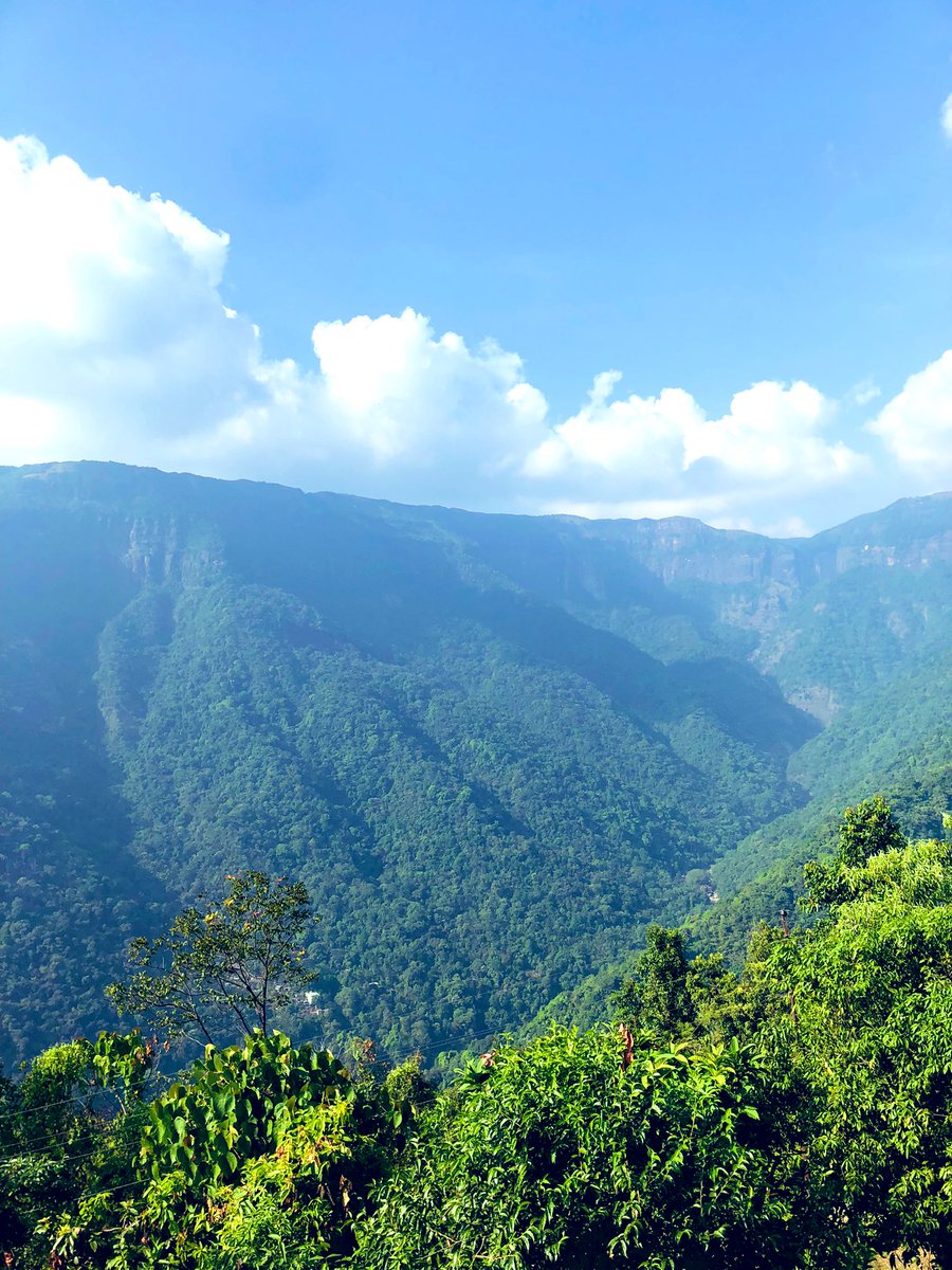 eshanikumbhani's tweet photo. Views for #Diwali this year. Pristine blues greens and azure #Meghalaya @meghtourism #cherrapunji #doubledeckerbridge #livingrootsbridge #nongriat https://t.co/BGtgkoe7FJ