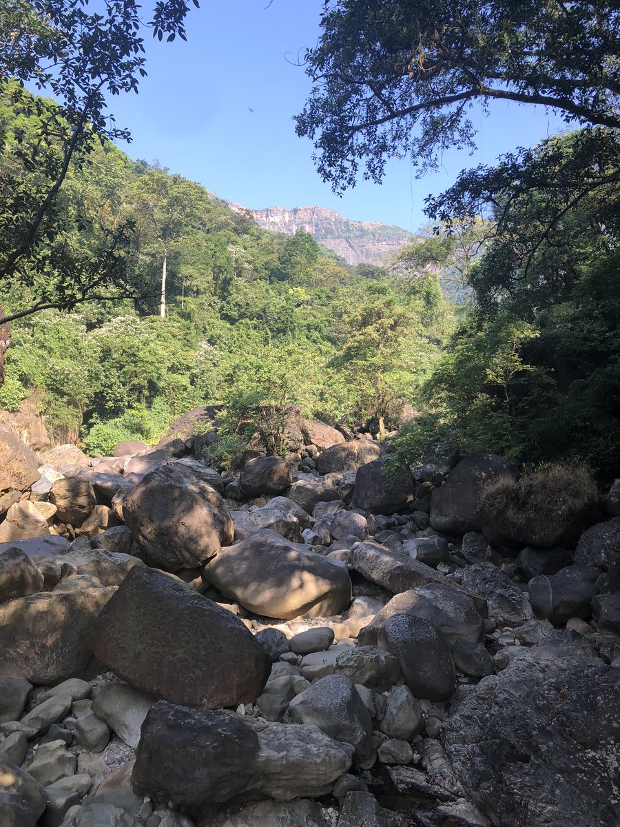eshanikumbhani's tweet photo. Views for #Diwali this year. Pristine blues greens and azure #Meghalaya @meghtourism #cherrapunji #doubledeckerbridge #livingrootsbridge #nongriat https://t.co/BGtgkoe7FJ