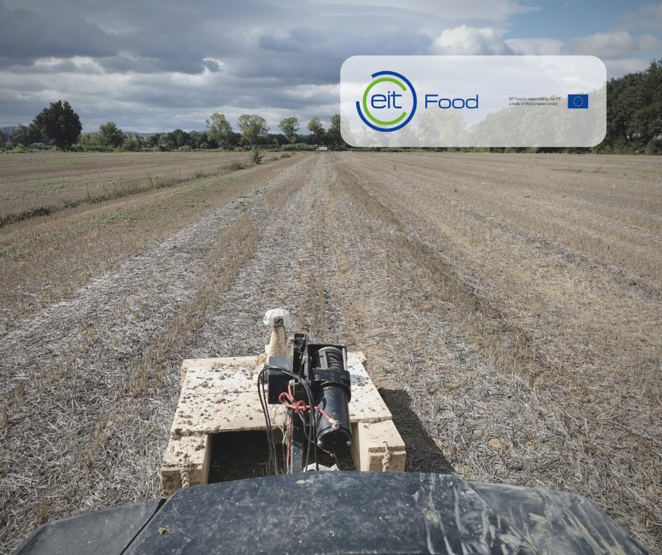 linkdapa's tweet photo. Electrical conductivity analysis carried out in 4 #wheat fields in Casalina (Umbria, Italy) to acquire new data that will improve #LINKDAPA project's algorithms for the prediction of wheat yield and protein!
@EITFood | @UniofReading  | @UniHohenheim | @JohnDeere | @AgricolusSuite https://t.co/uaTYz68LNX